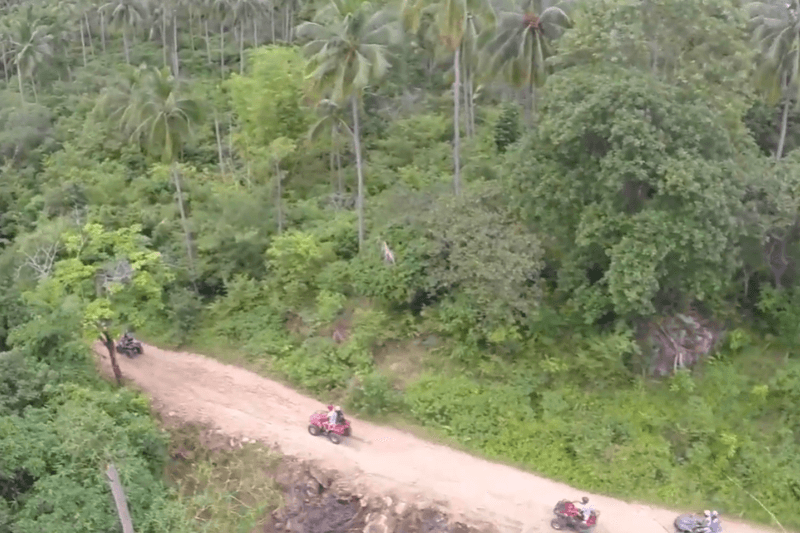 ATV Jungle Safari