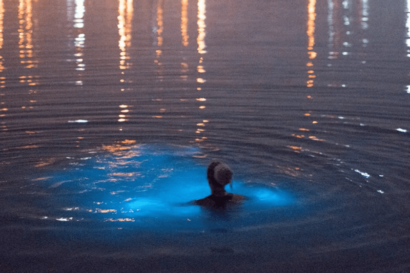 Luminous Lagoon